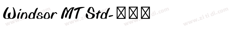 Windsor MT Std字体转换